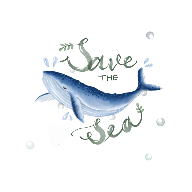 鲸 海洋 夏天 - 上的免费图片