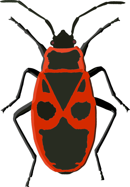 Firebug 甲虫，昆虫 昆虫 - 免费矢量图形