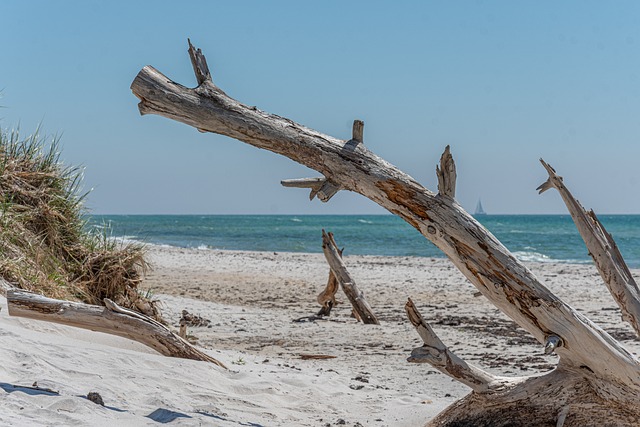 海岸 废料 海滩 - 上的免费照片