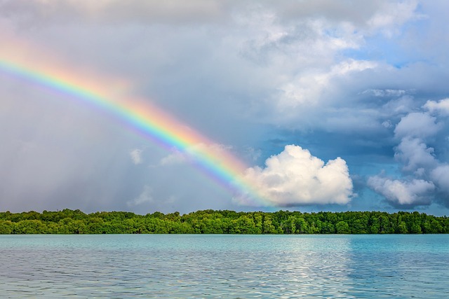 景观 彩虹 热带 - 上的免费照片
