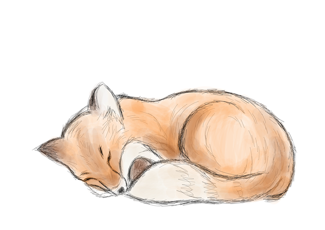 狐狸 睡觉 落下 - 上的免费图片