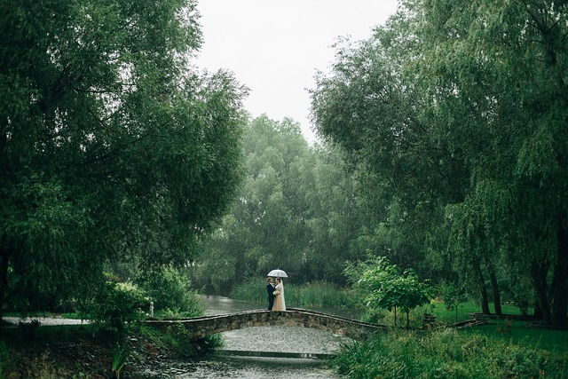 公园 雨 婚礼 - 上的免费照片