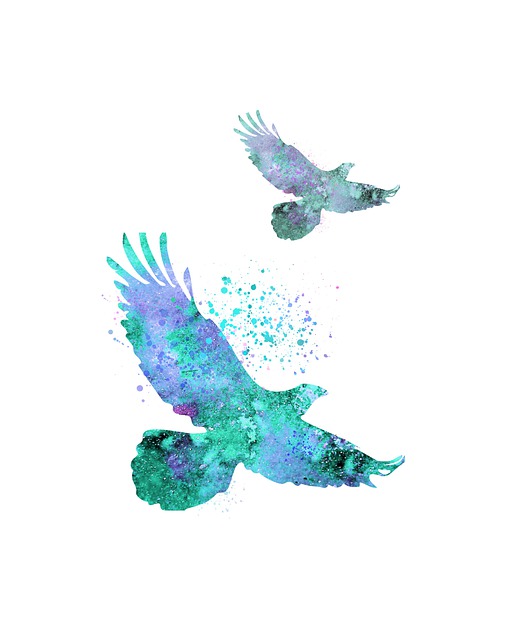 鸟类 画鸟 水彩 - 上的免费图片