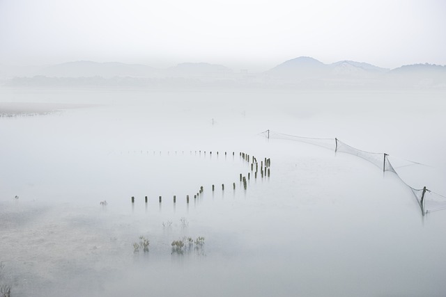 多雾路段 自然 海洋 - 上的免费照片
