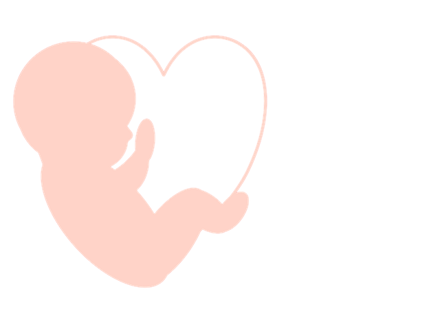 胎儿 胚胎 怀孕 - 上的免费图片