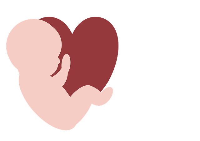 派对 胚胎 怀孕 - 上的免费图片