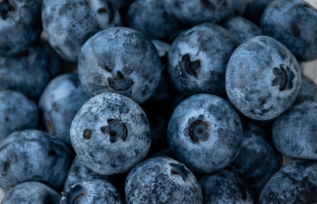 蓝莓 食物 甜的 - 上的免费照片
