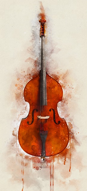 原声低音 低音 低音提琴 - 上的免费图片