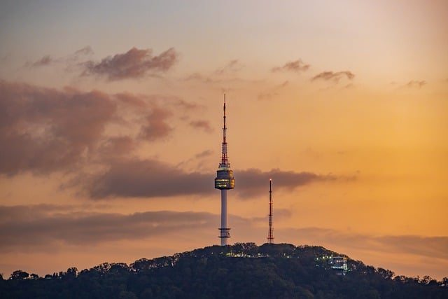 夜景 黑暗的 汉城 - 上的免费照片