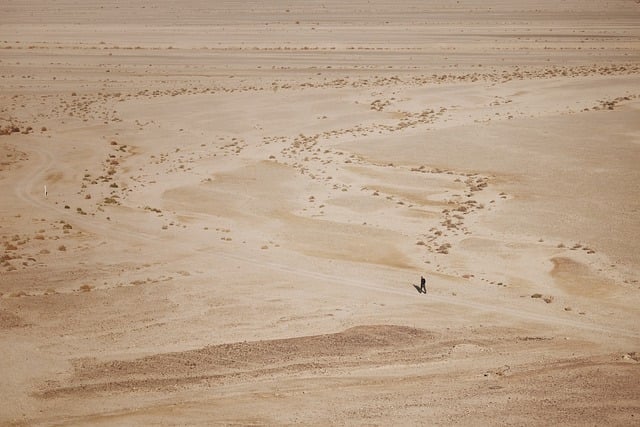 男人 沙漠 走 - 上的免费照片