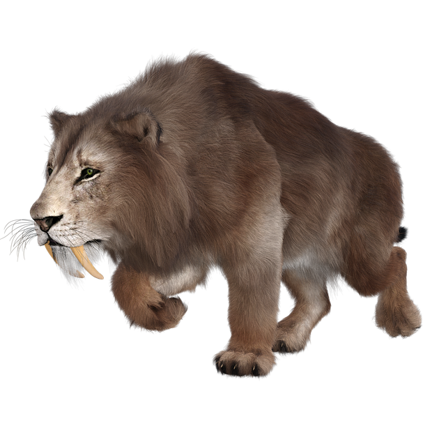 剑齿虎 剑齿猫 灭绝 - 上的免费图片