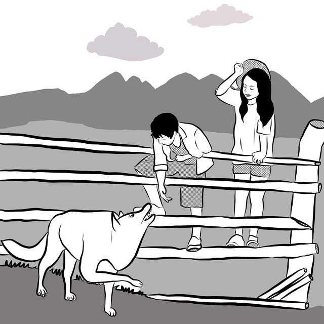 孩子们 狼 玩耍 - 上的免费图片