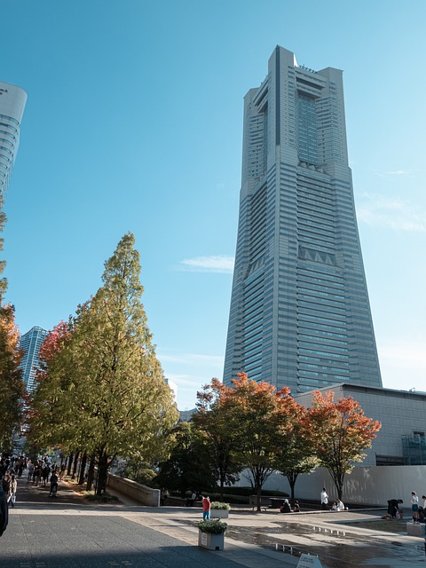 秋季树叶 凑未来 横滨 - 上的免费照片