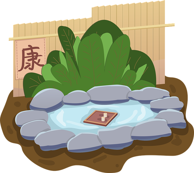 温泉 冬天 水池 - 免费矢量图形