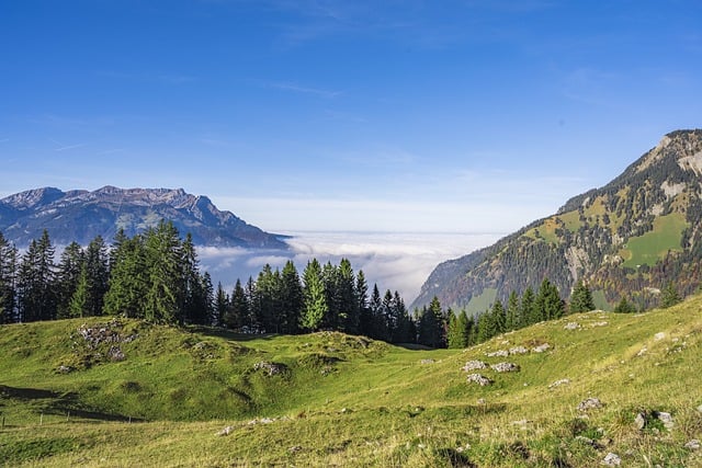 雾海 多雾路段 阿尔卑斯山 - 上的免费照片