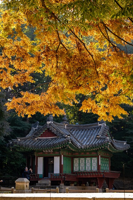 秋季 宫 全屏宽度 - 上的免费照片