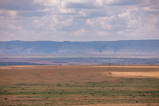 苹果浏览器 自然 景观 - 上的免费照片