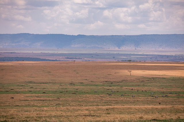 苹果浏览器 自然 景观 - 上的免费照片
