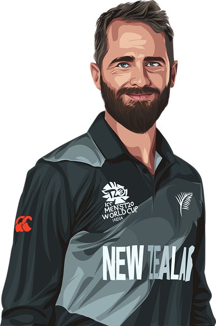 蟋蟀 板球比赛 印度 - 免费矢量图形