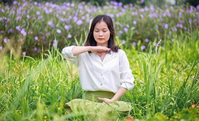女士 草地 草 - 上的免费照片