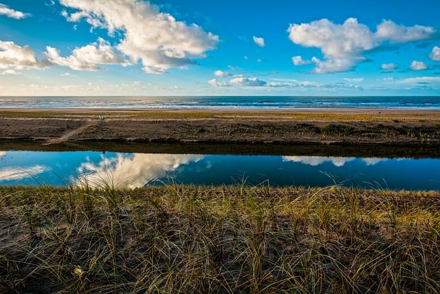 海滩 海 Marram 草 - 上的免费照片