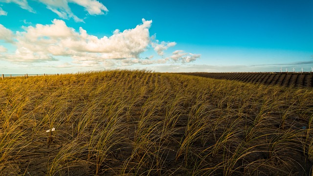 堤防 Marram 草 景观 - 上的免费照片