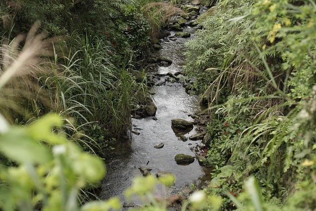 河 流水 山泉 - 上的免费照片