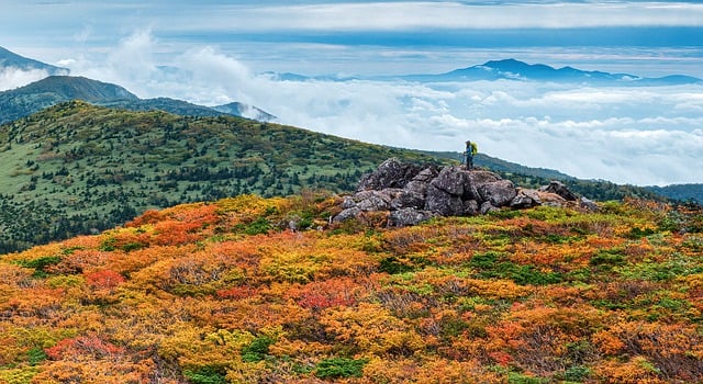 山 初秋 八幡平原 - 上的免费照片