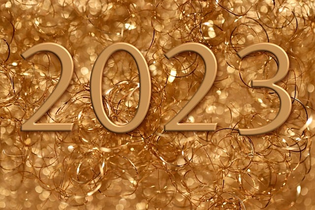 新的一年的一天 2023 西尔维斯特 - 上的免费照片