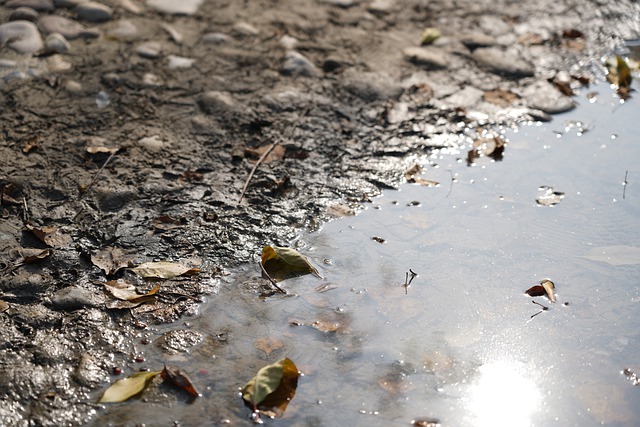 河滩 水边 枯竭 - 上的免费照片