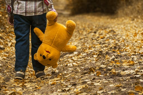男孩携带熊毛绒玩具 · 免费素材图片