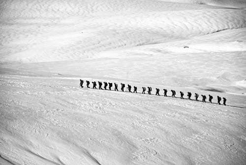 在雪原灰度摄影上行走的人 · 免费素材图片