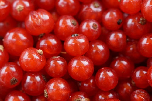 红色圆形小水果 · 免费素材图片