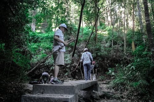 男子手持棕色树 · 免费素材图片