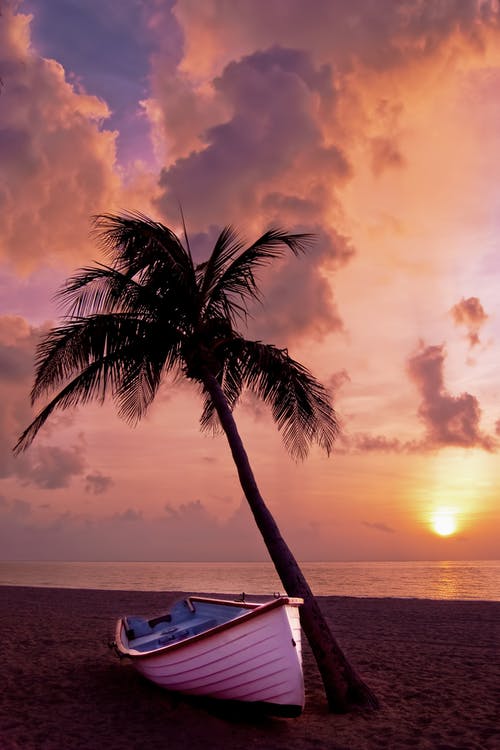 白船在树下在夕阳下的橙色天空下 · 免费素材图片
