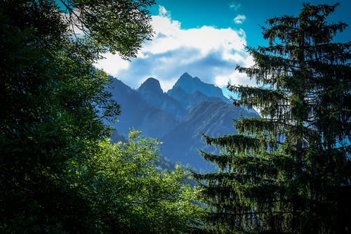 跨绿树山脉 · 免费素材图片