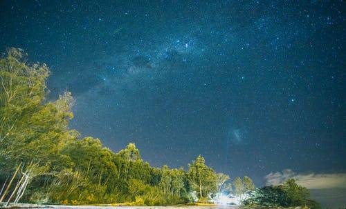 星云下树木的低角度摄影 · 免费素材图片