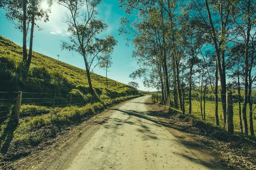 灰色的道路，与绿色的树叶在蓝蓝的天空下的树木 · 免费素材图片