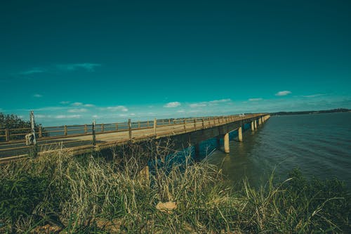 棕色混凝土桥 · 免费素材图片