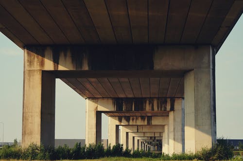 灰色混凝土高架公路下的绿草 · 免费素材图片