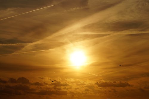 日出壁纸 · 免费素材图片