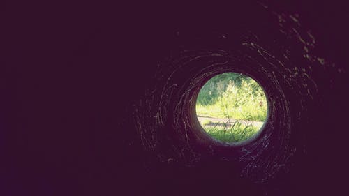 绿草隧道照片 · 免费素材图片