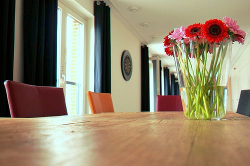 在棕色的木桌子上的透明玻璃花瓶中的红色和粉色海葵和非洲菊雏菊花的布置 · 免费素材图片