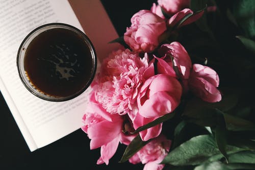 书上杯旁边的粉红色花朵 · 免费素材图片