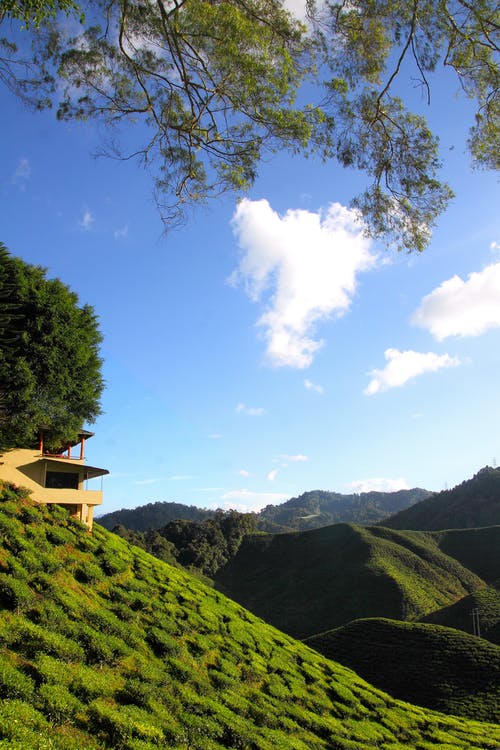 绿山风景摄影 · 免费素材图片