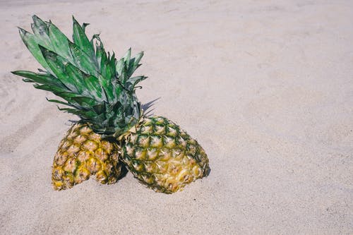 在沙子上放养的两个黄色菠萝果实 · 免费素材图片