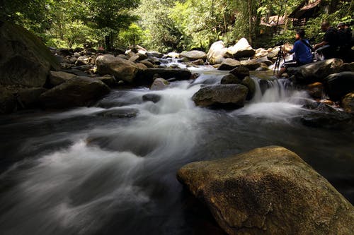 树木环绕的岩石河 · 免费素材图片