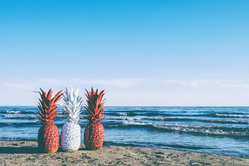 白色和两个红涂的菠萝附近在海边 · 免费素材图片