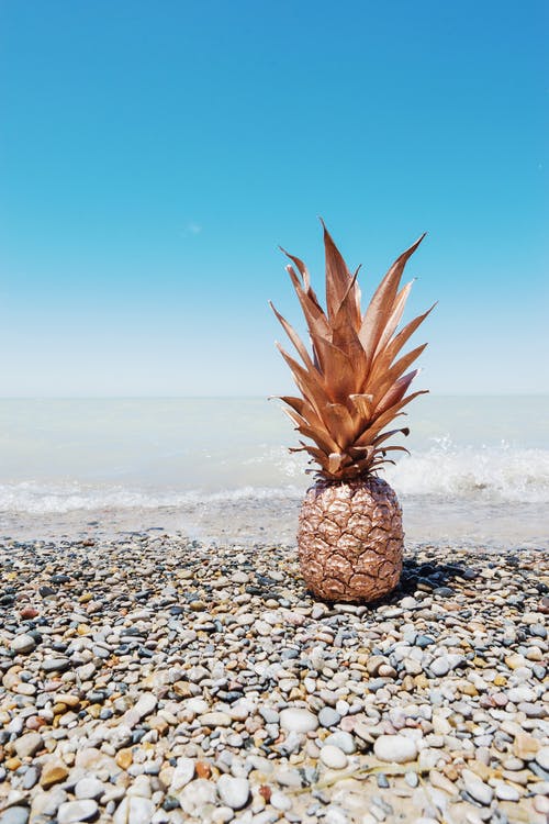圆石滩上涂菠萝水果的照片 · 免费素材图片