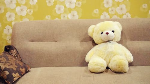 沙发上的玩具熊 · 免费素材图片